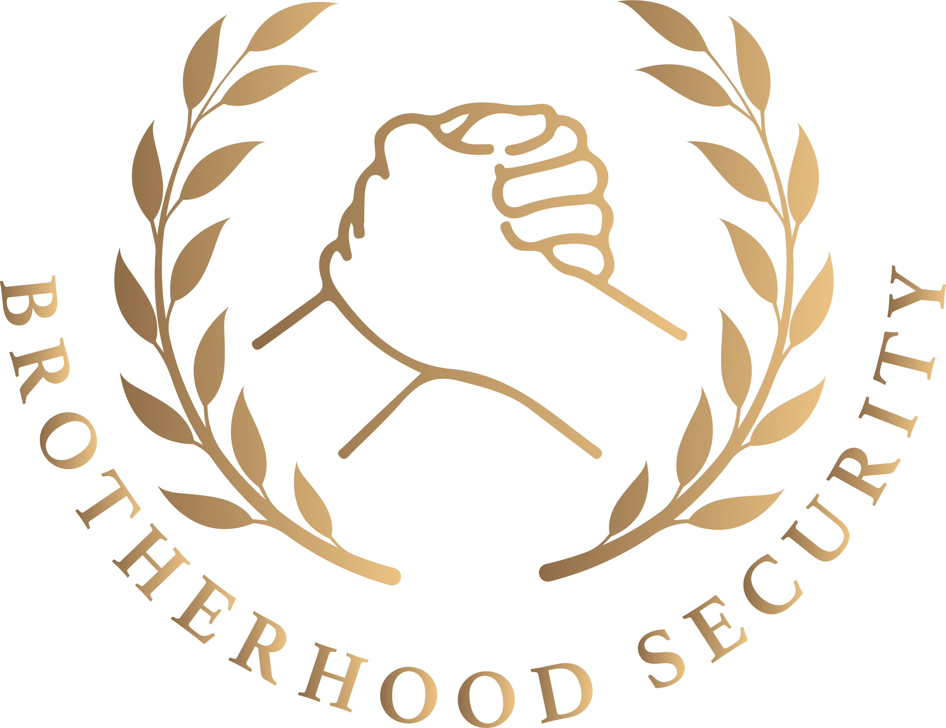 logo bthsecurity